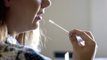 genealogy-boom-exposes-personal-data-scammers-can-exploit