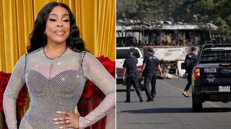 niecy-nash-reveals-how-she-survived-dangerous-cartel-violence-after-being-trapped-in-mexico-with-family