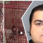 ice-investigation-leads-to-conviction-of-florida-man-for-‘sexual-animal-crushing’-videos