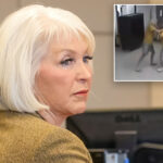 jailed-trump-ally-tina-peters-found-not-guilty-of-assault-in-caught-on-camera-prison-fight