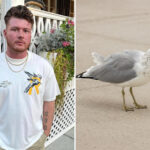 nj-man-who-decapitated-seagull-that-tried-to-steal-french-fry-from-daughter-sentenced-to-8-months