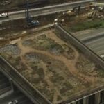 insanity:-newsom’s-california-blows-over-$100-million-on-a-‘butterfly-and-cougar’-bridge-with-no-end-in-sight-–-project-director-blames-trump-and-the-weather