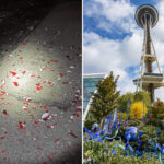 vandal-destroys-$240k-worth-of-sculptures-at-seattle-museum,-tries-to-stab-security-guard-with-shard-of-glass