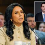 tulsi-gabbard-hires-former-pentagon-official-skeptical-of-iran-policy-as-her-deputy-quit-in-protest-of-the-war