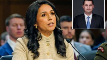 tulsi-gabbard-hires-former-pentagon-official-skeptical-of-iran-policy-as-her-deputy-quit-in-protest-of-the-war