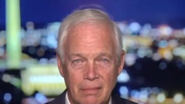 gop-sen.-johnson:-tsa-should-be-privately-contracted,-air-traffic-control-privatized