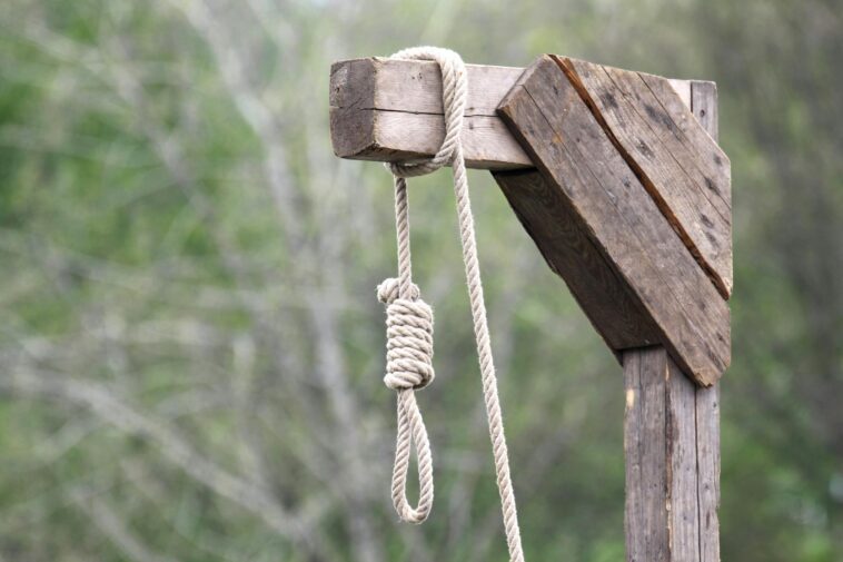 ‘massacring-youth’:-iran-hangs-19-year-old-wrestling-champion-after-protest-arrest