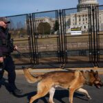 house-democrats-vote-against-deporting-immigrants-who-harm-police-dogs,-horses