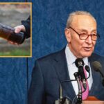 democrats-fear-higher-gas-prices-could-affect-molotov-cocktail-production