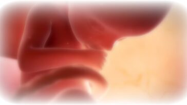 dark-day:-british-house-of-lords-approves-up-to-birth-abortions-to-become-law,-as-the-culture-of-death-takes-over-the-uk