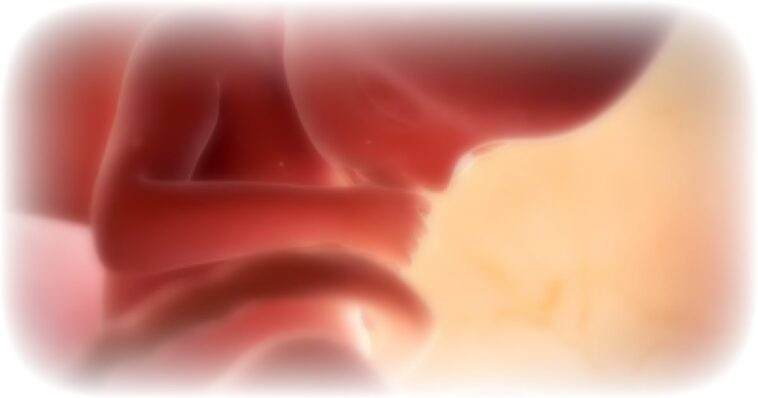 dark-day:-british-house-of-lords-approves-up-to-birth-abortions-to-become-law,-as-the-culture-of-death-takes-over-the-uk