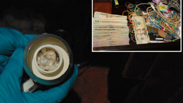 long-island-jerks-turn-jerk-chicken-eatery-into-drug-takeout-—-with-cocaine-in-soda-cans:-cops