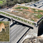 california’s-priciest-bridge-is-in-socal-and-costs-$114m-—-but-it’s-not-for-cars