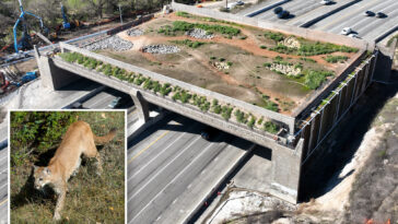 california’s-priciest-bridge-is-in-socal-and-costs-$114m-—-but-it’s-not-for-cars
