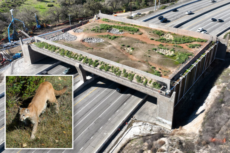 california’s-priciest-bridge-is-in-socal-and-costs-$114m-—-but-it’s-not-for-cars