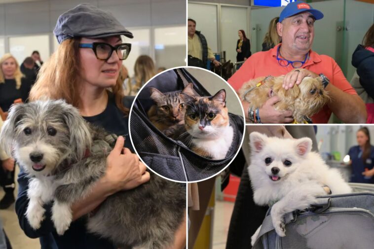 greece-launches-animal-airlift-to-evacuate-pets-and-their-owners-from-the-middle-east