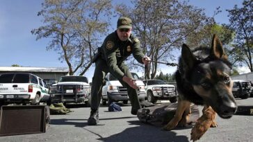 a-straightforward-vote-on-protecting-police-dogs-—-dems-went-which-way?