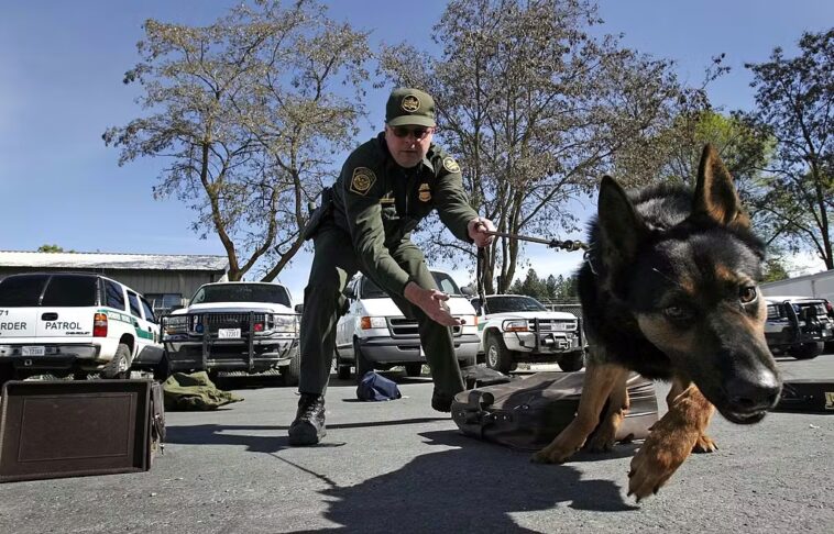 a-straightforward-vote-on-protecting-police-dogs-—-dems-went-which-way?