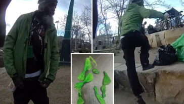 dem-appointed-judge-sets-measly-$100-bond-for-repeat-drug-offender-after-cop-injured-during-wild-arrest