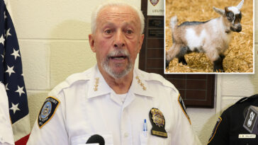 baby-goat’s-head-chopped-off-in-sick-sacrifice-as-long-island-activists-offer-cash-reward