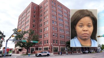 texas-woman-with-37-felony-theft-charges-released-on-bond-after-months-on-the-run-while-on-parole:-report