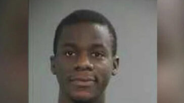 feds-revoking-citizenship-of-convicted-tax-fraud-migrant