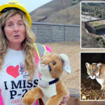 california’s-‘bridge-to-nowhere’-has-cost-you-$77m-so-far-—-but-expert-says-that’s-just-the-start