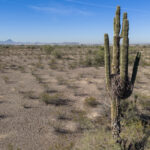 arizona-community-hits-hottest-ever-march-temp-in-the-us-as-unrelenting-heat-wave-scorches-west-coast