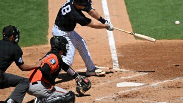 yankees’-paul-goldschmidt-trying-to-make-up-for-lost-time-after-limited-wbc-play