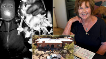 nancy-guthrie-abductor-likely-had-as-many-as-four-accomplices,-retired-pima-county-detective-says