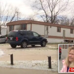 newborn-killed-when-left-alone-with-stray-dog-her-family-had-just-taken-in