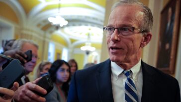 thune-reveals-reason-democrats-are-‘scared’-to-reopen-dhs