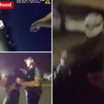 wild-video-shows-cop-jumping-on-stranger’s-car-hood-to-hitch-a-ride-for-a-police-chase:-‘go!-go!-go!-‘