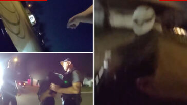 wild-video-shows-cop-jumping-on-stranger’s-car-hood-to-hitch-a-ride-for-a-police-chase:-‘go!-go!-go!-‘