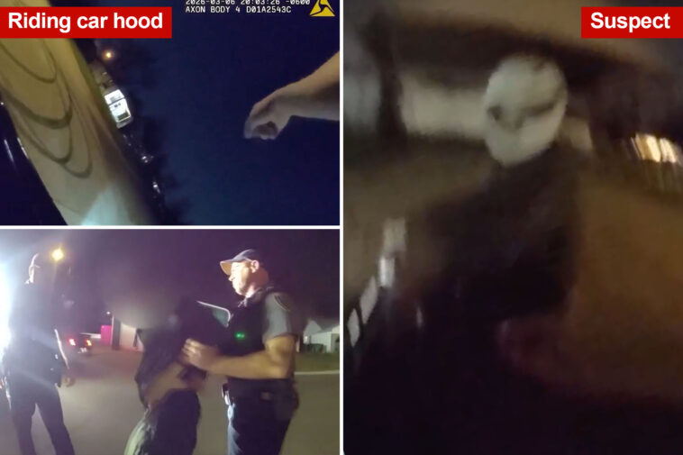 wild-video-shows-cop-jumping-on-stranger’s-car-hood-to-hitch-a-ride-for-a-police-chase:-‘go!-go!-go!-‘