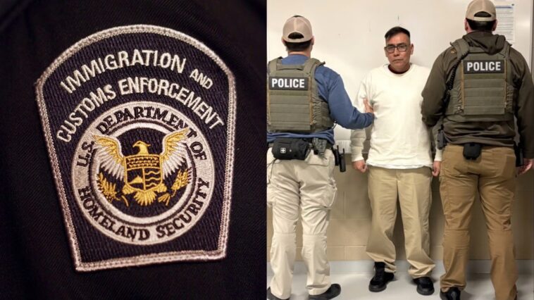 a-child’s-tip-to-ice-may-have-saved-her-mom’s-life-from-‘monster’