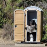 newsom-allocates-$900-million-for-black-bear-porta-potties