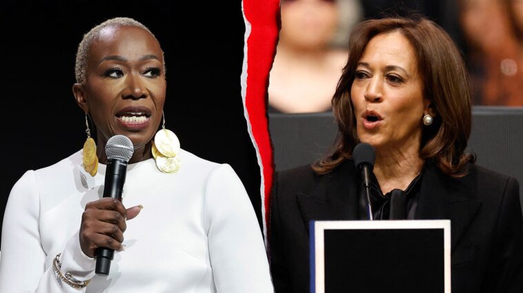 far-left-ex-msnbc-host-argues-kamala-harris-shouldn’t-run-in-2028,-cites-biden-policy-‘stain’