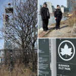 boy,-16,-falls-to-death-while-taking-photos-from-cell-tower-at-brooklyn-park-with-skyline-views