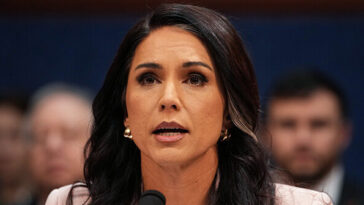 trump-confirms-tulsi-gabbard’s-job-is-safe-as-dni