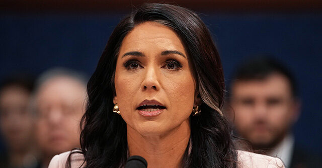 trump-confirms-tulsi-gabbard’s-job-is-safe-as-dni