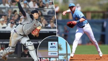 why-mlb-players-are-getting-shorter-on-their-bio-pages-this-season