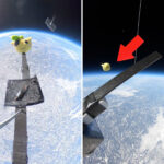 space-cadet:-stuffed-animal-dropped-from-earth’s-stratosphere