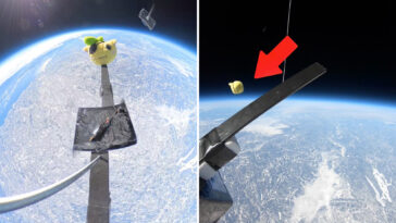 space-cadet:-stuffed-animal-dropped-from-earth’s-stratosphere