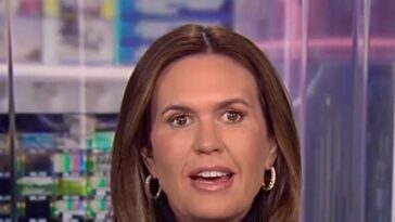 sarah-sanders-on-being-asked-to-leave-a-restaurant:-‘it’s-the-normal-versus-the-crazy’