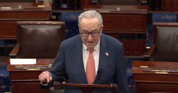 schumer’s-blunder-goes-viral:-‘we-must-fund-ice!’-dem-leader-blurts-out-the-words-he’s-been-blocking-all-along-(video)