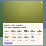 spring-fish-migration-begins-in-the-netherlands-with-help-from-innovative-‘fish-doorbell’