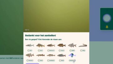 spring-fish-migration-begins-in-the-netherlands-with-help-from-innovative-‘fish-doorbell’