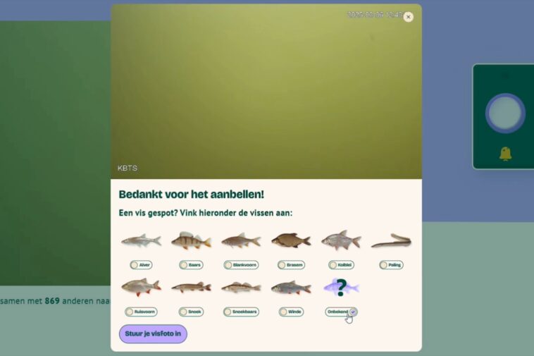 spring-fish-migration-begins-in-the-netherlands-with-help-from-innovative-‘fish-doorbell’