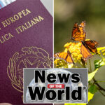 news-of-the-world:-what-you-missed-this-week-internationally